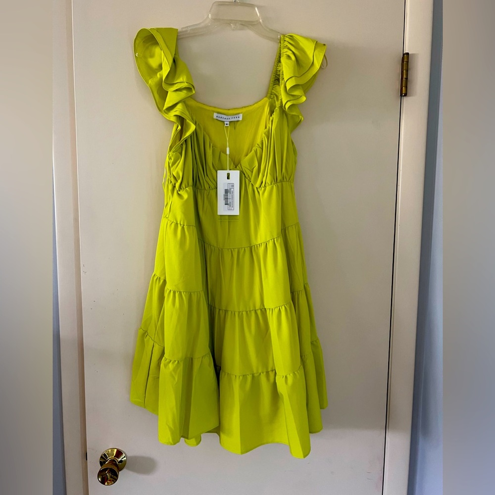 Endless Rose Dress- NWT